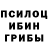 Галлюциногенные грибы прущие грибы Denver 34