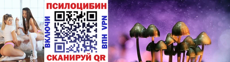 Купить закладки  Спасск  Галлюциногенные грибы MAGIC MUSHROOMS 